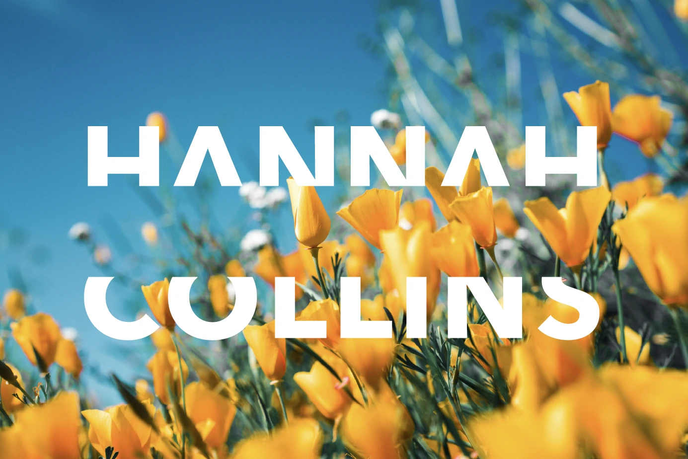 Hannah Collins Garden Design — image 2